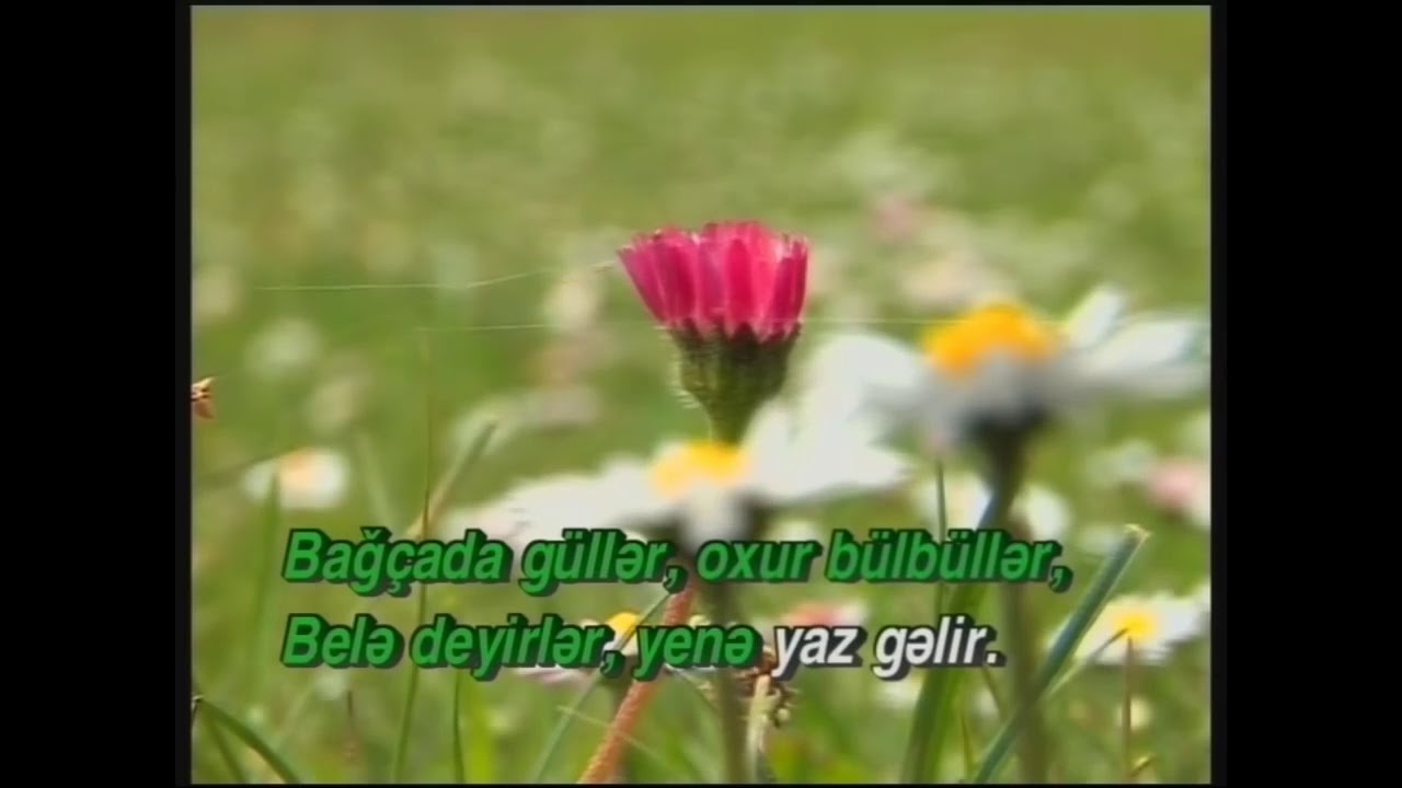 Bağçada Güllər - Karaoke - Azərbaycan El mahnısı