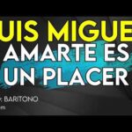 Luis Miguel - Amarte Es Un Placer - Karaoke Instrumental - Barítono