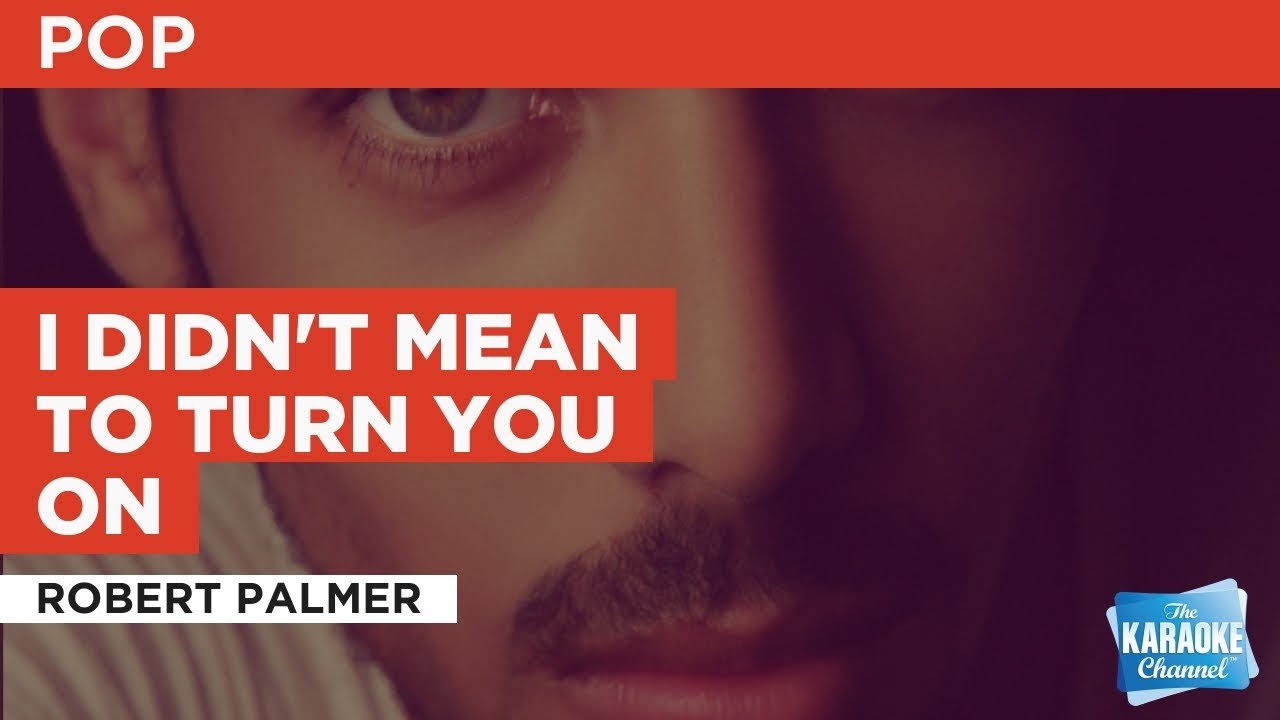 I Didn't Mean To Turn You On : Robert Palmer | Karaoke with Lyrics