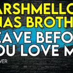 Marshmello x Jonas Brothers - Leave Before You Love Me - Karaoke Instrumental - Lower