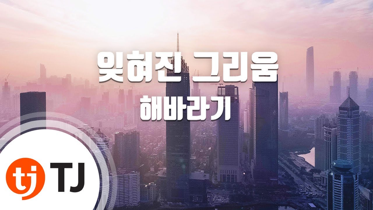 [TJ노래방] 잊혀진그리움 - 해바라기 / TJ Karaoke