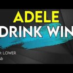 Adele - I Drink Wine - Karaoke Instrumental - Lower