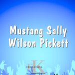 Mustang Sally - Wilson Pickett (Karaoke Version)